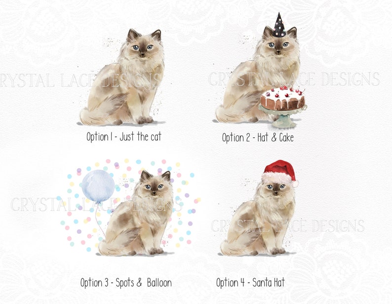 Personalised Ragdoll Cat Birthday Card Personalised Ragdoll - Etsy