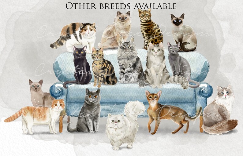 Personalised Maine Coon cat Birthday card personalised cat | Etsy