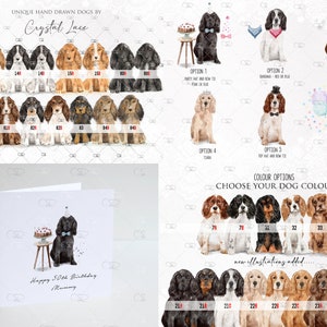 Personalised cocker spaniel Birthday card, springer spaniel, sprocker, brown, tan, Black & white, Roan, liver, orange, Mother's Day card