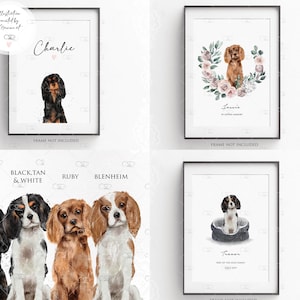 May include: Four watercolour illustrations of Cavalier King Charles Spaniels. The first image shows a black and tan Cavalier King Charles Spaniel with the name "Charlie" written above it. The second image shows a black and white Cavalier King Charles Spaniel with the name "Jessie" written above it. The third image shows a ruby Cavalier King Charles Spaniel with the name "Ruby" written above it. The fourth image shows a Blenheim Cavalier King Charles Spaniel with the name "Trevor" written above it.