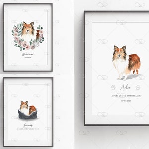 personalised shetland sheepdog print, personalised dog print, sheltie print, dog wall art, personalised sheltie illustration, sheltie gift