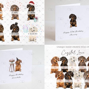 personalised dachshund Birthday card, sausage dog card, miniature longhaired black tan, chocolate, red, cream, brindle dapple, fawn, doxie