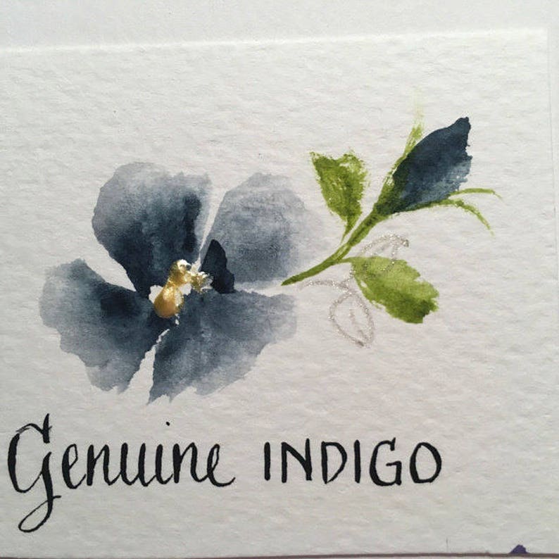 May include: Watercolor painting of a blue flower with a gold center and green leaves. The text "Genuine INDIGO" is written below the flower.