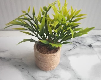 May include: A small potted plant with green leaves in a brown hessian pot. The plant is sitting on a white marble surface.
