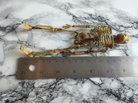 Skeleton Action Figures Skeleton Dog Skeleton Child Skeleton Animal  Halloween Decor Christmas Gift Xmas Present 12th Scale 