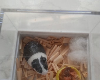 Dolls House Miniature Hamster Guinea Pig Pet 12th scale Black and White Miniatures OOAK Handcrafted Animal cage 1:12th Scale 1/12th Scale