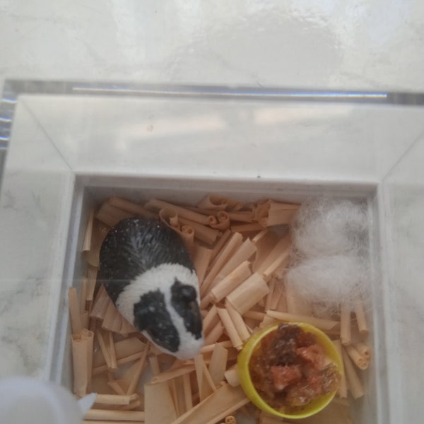 Dolls House Miniature Hamster Guinea Pig Pet 12th scale Black and White Miniatures OOAK Handcrafted Animal cage 1:12th Scale 1/12th Scale