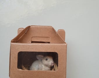Dolls House Miniature Rabbit in Box 12th Scale