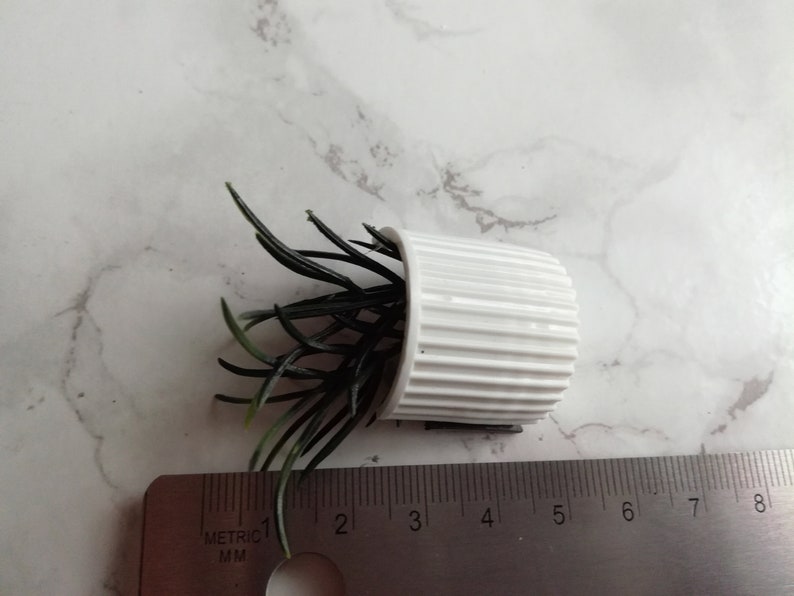 Plant Fridge Magnet Potted Plant Upcycle Handmade White and Green Plant