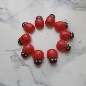 Bug Lady Bug Lady Bird Pack  Fairy Garden Wooden Dolls House Miniature  Miniatures Craft Home Decor