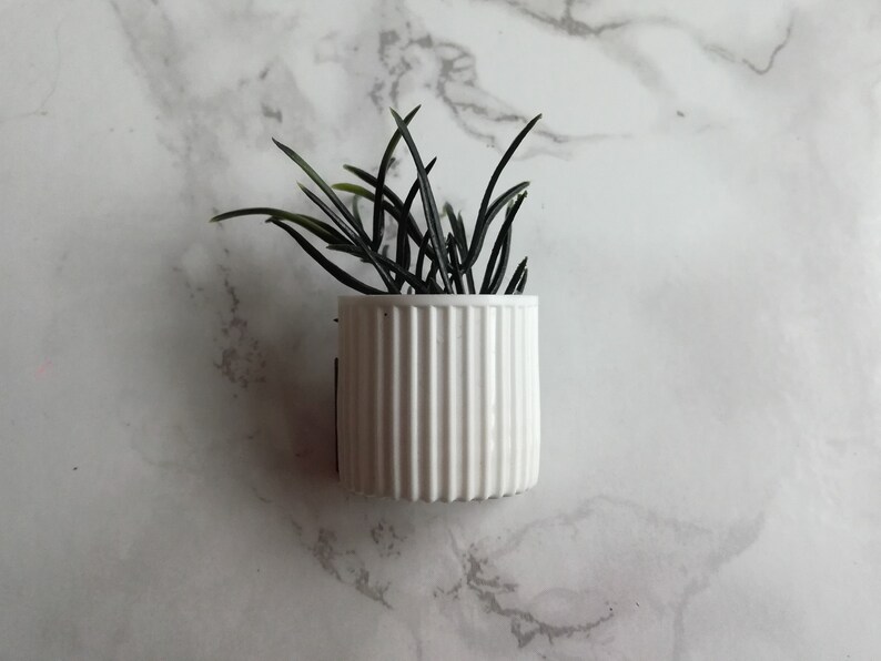 Plant Fridge Magnet Potted Plant Upcycle Handmade White and Green Plant