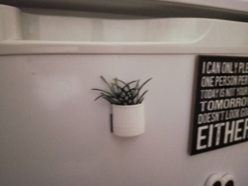 Plant Fridge Magnet Potted Plant Upcycle Handmade White and Green Plant