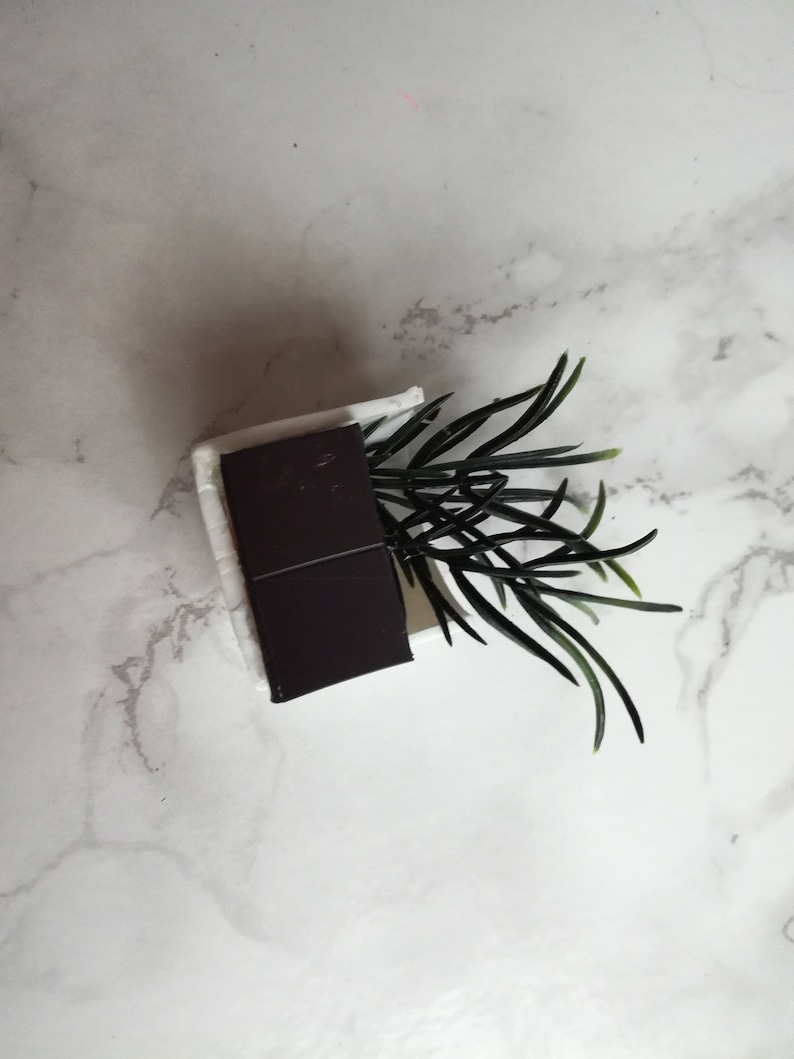 Plant Fridge Magnet Potted Plant Upcycle Handmade White and Green Plant