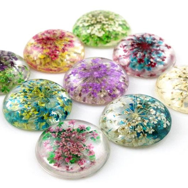 25mm Dried Flower Resin Cabochons | Pack of 5