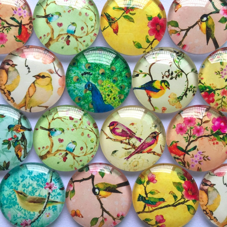 Mixed Designs Choice of Sizes Pretty Birds Printed Glass Cabochons