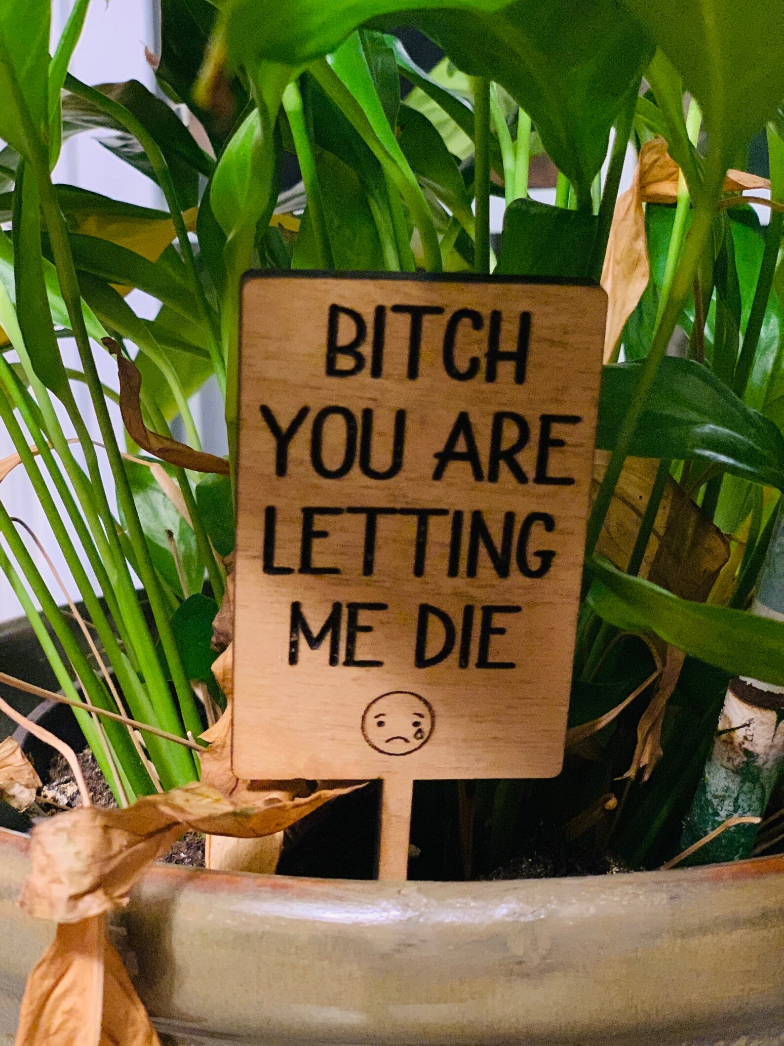 Funny garden stake garden decoration plant stake gardener Etsy