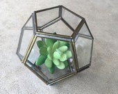 Vintage Brass And Glass Curio Box Succulent Terrarium Keepsake Holder Boho Decor Hollywood Regency Mid Century Curio Display