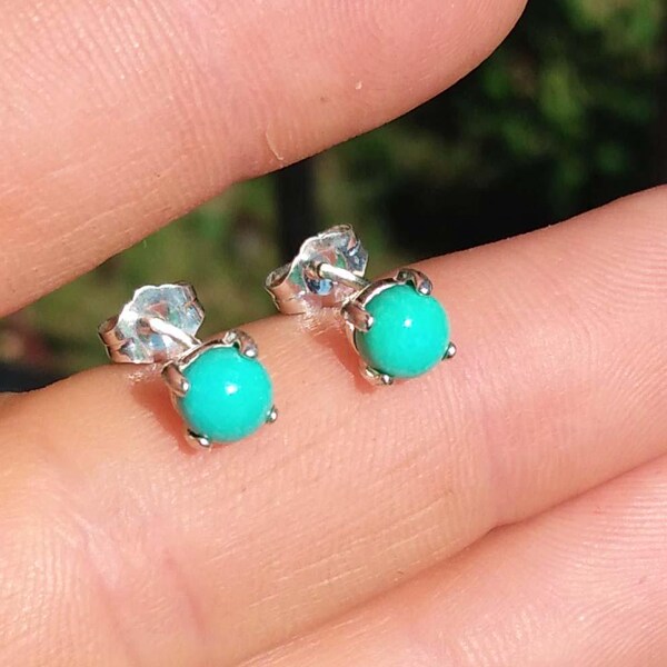 Incanto Studs Turquoise main image 1