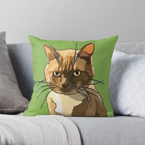 Ginger Cat Cushion Cover Green Cat Cushion Grumpy Cat Ginger Cat Cushion Bild 4