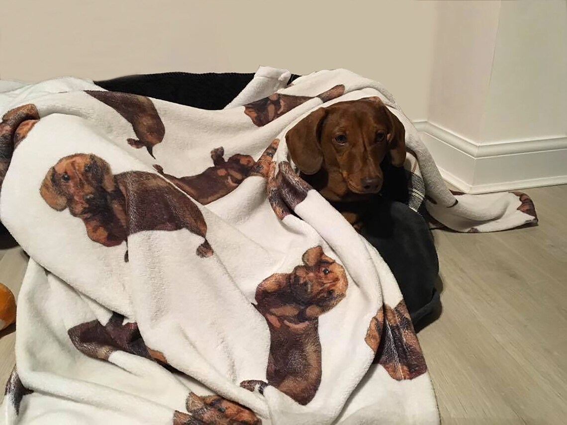 Dachshund Blanket Fleece Mini Doxie Fleecy Blanket Throw Etsy