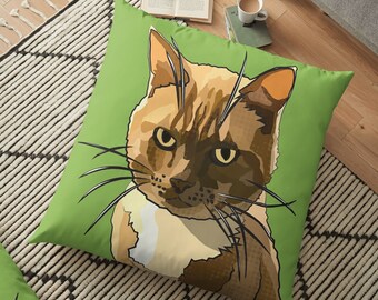 Ginger Cat Cushion Cover * Green Cat Cushion * Grumpy Cat * Ginger Cat Cushion