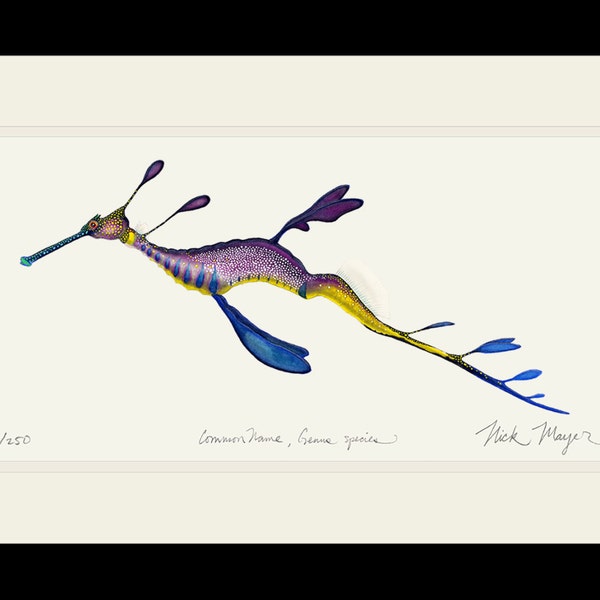 Weedy Seadragon Art. Limited Edition Signed Print