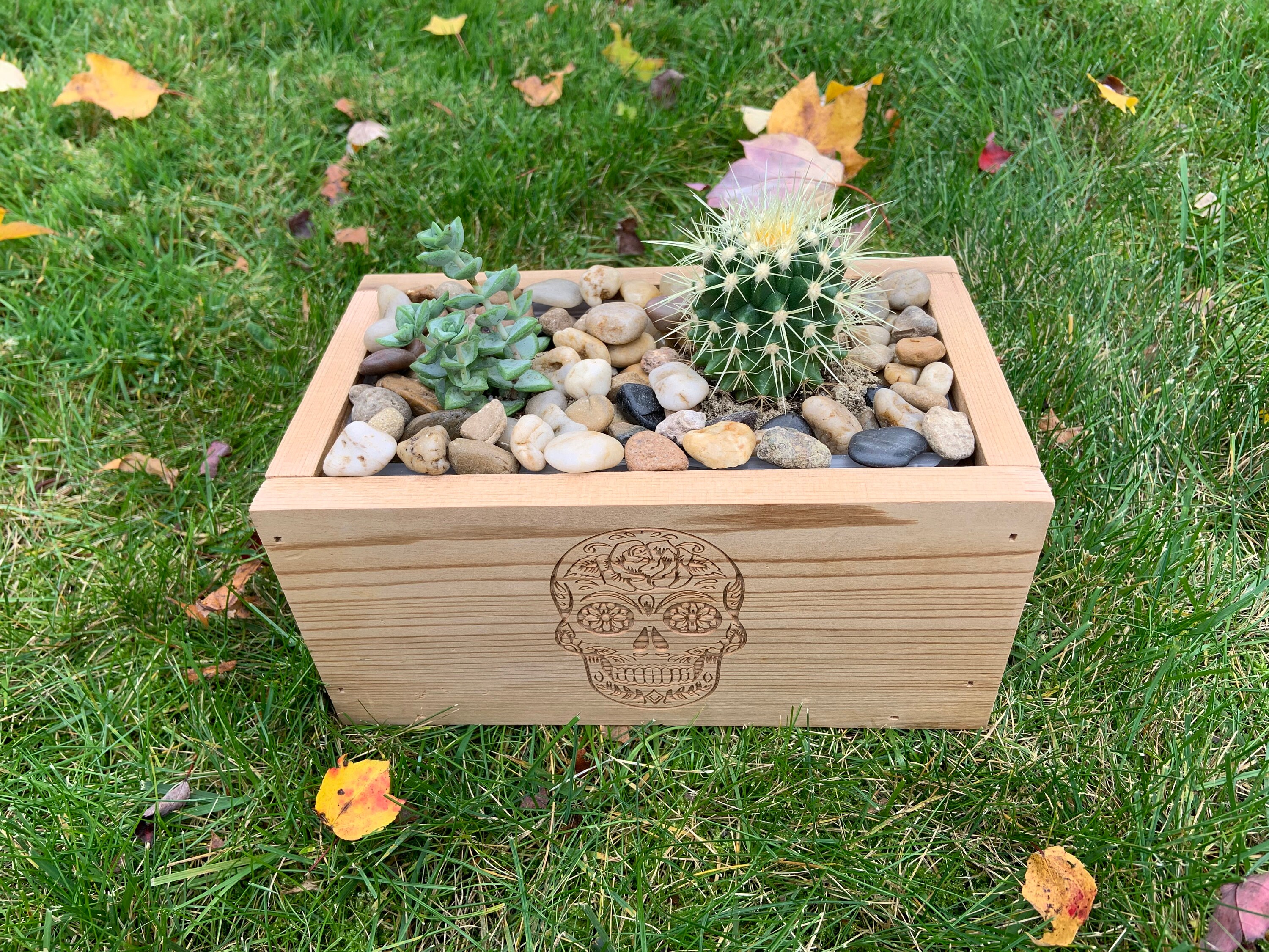 Succulent Planter Box | Etsy