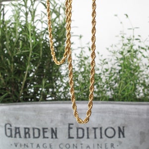May include: Two gold rope chains hanging against a background of green plants. The chains are of different lengths.