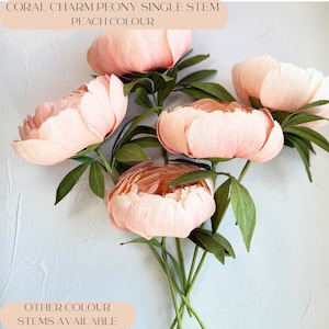 Erster Jahrestag Papiergeschenk für Sie, Pastellbrautstrauß für Hochzeit, Muttertag Pfirsichblumen, Papierjubiläumsidee für Frau