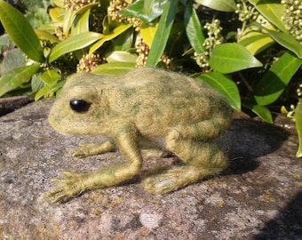 Frog  & Harlequin Toad Needle Felt Kit British wool UNBOXED 100% BRITISH WOOL