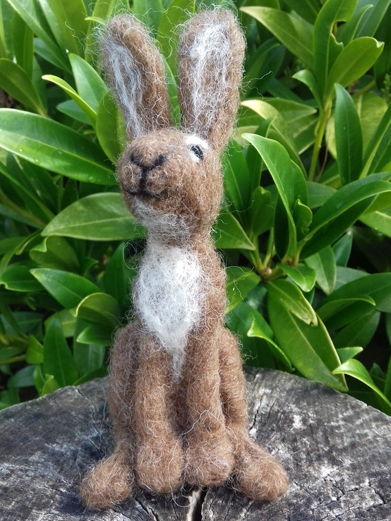 WULYDERMY Needle Felt Starter Kit British Rare Breed Wool