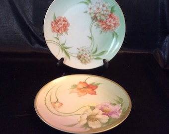 Zeh, Scherzer & Co Z. S. And Co Bavaria ca. 1900 fleur plaques - paire
