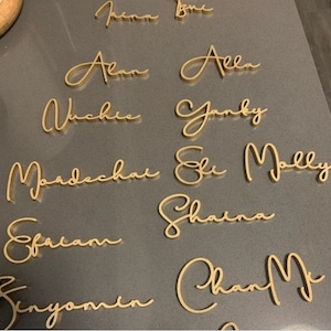 Puede incluir: Nombres en cursiva de color dorado sobre una superficie gris. Los nombres son: Alan, Ella, Jackie, Yanky, Mordechai, Eli, Molly, Shaina, Ephraim, Chan y Benjamin.