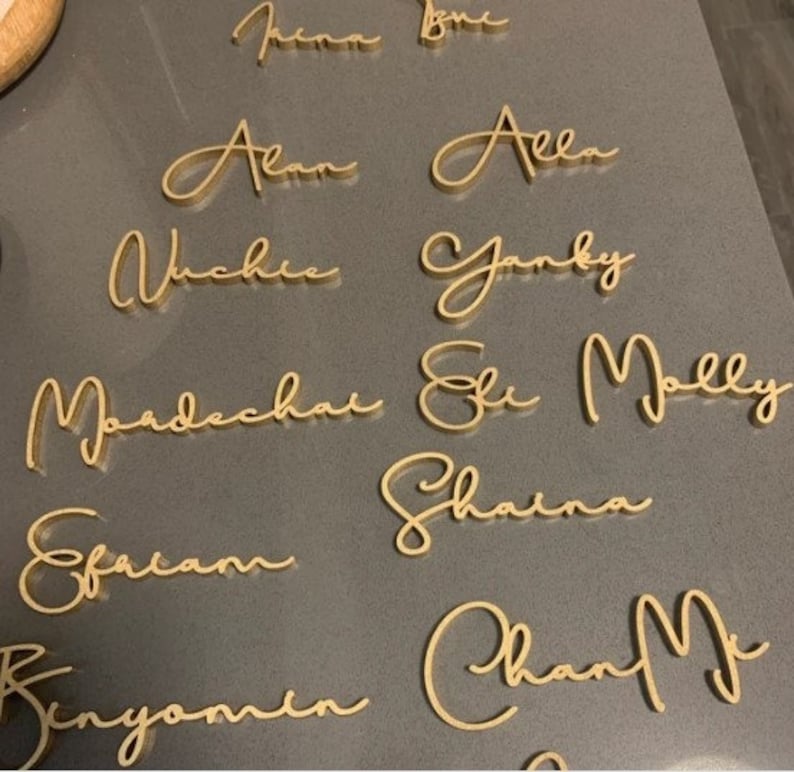 Puede incluir: Nombres en cursiva de color dorado sobre una superficie gris. Los nombres son: Alan, Ella, Jackie, Yanky, Mordechai, Eli, Molly, Shaina, Ephraim, Chan y Benjamin.