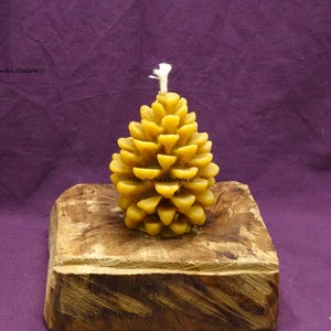 pure beeswax candle “Pine cone”