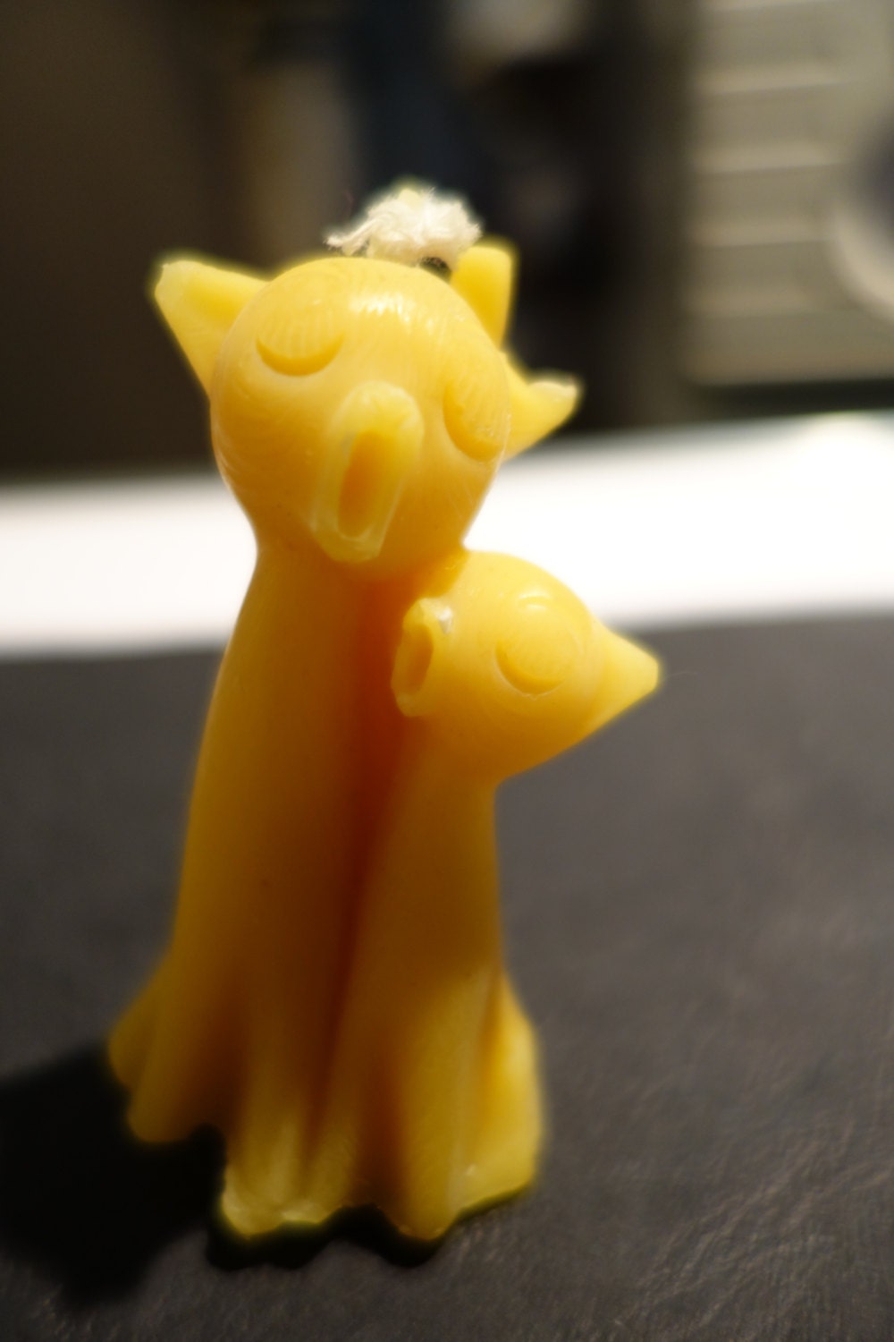 Bougie en Pure Cire d'abeille Duo de Chats