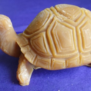 natural beeswax turtle candle