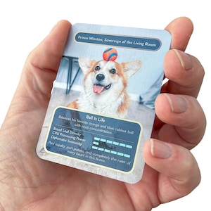 Puede incluir: Una tarjeta coleccionable rectangular con la fotografía de un Corgi beige y blanco equilibrando una pelota naranja y azul sobre su cabeza. La tarjeta incluye el texto Prince Winston, Sovereign of the Living Room, Ball Is Life y estadísticas.