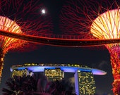 Neon Trees Singapore Colorful Night Architecture Fine Art | Etsy