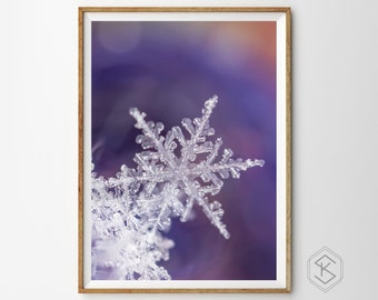 Sugar Plum Flurry - Real Snowflake Macro Photography, Fine Art Print-Unique Gift-Mountain Winter Cabin Wall Art-Ice Crystals-Sacred Geometry