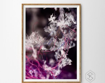 Electric Love - Macro Snowflakes Melting on Wired Purple & Pink, Fine Art Print, Wall Art Home Decor, Unique, Gift, Colorful Winter, Snow