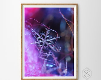 Flash Frozen - Real Snowflake Macro Photography Fine Art Print, Rare Unique Gift, Christmas, Mountain Decor Winter Modern Wall Art, Purple