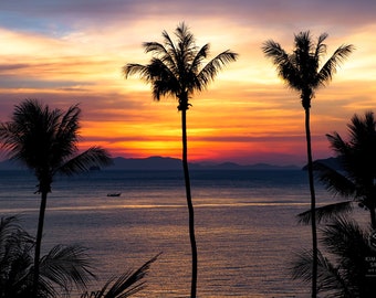 Dreaming of Thailand- Palm Tree Silhouettes at Sunset - Fine Art Photography Print, Metal, Canvas, Minimal Large Tropical Glowing Pink Sky