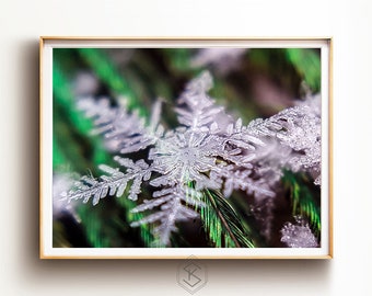 Perfect Peacock Feather Snowflake -Real Macro Photography Fine Art Print Lustre,Pearl,Metal,Cards,Christmas Gift, Emerald Green Mountain Art