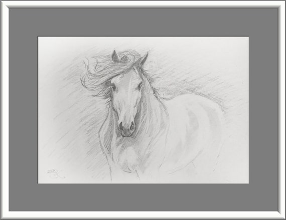 Original Pencil Sketch Of Horse Pencil Sketch Horse Sketch Etsy