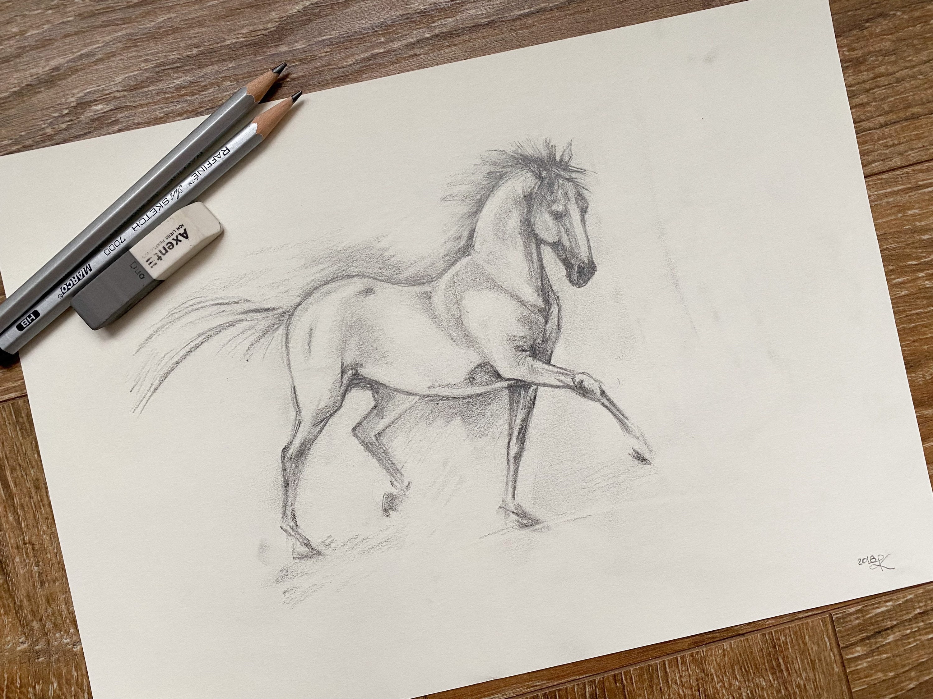 Horse Sketch Canvas Prints for Sale  Redbubble