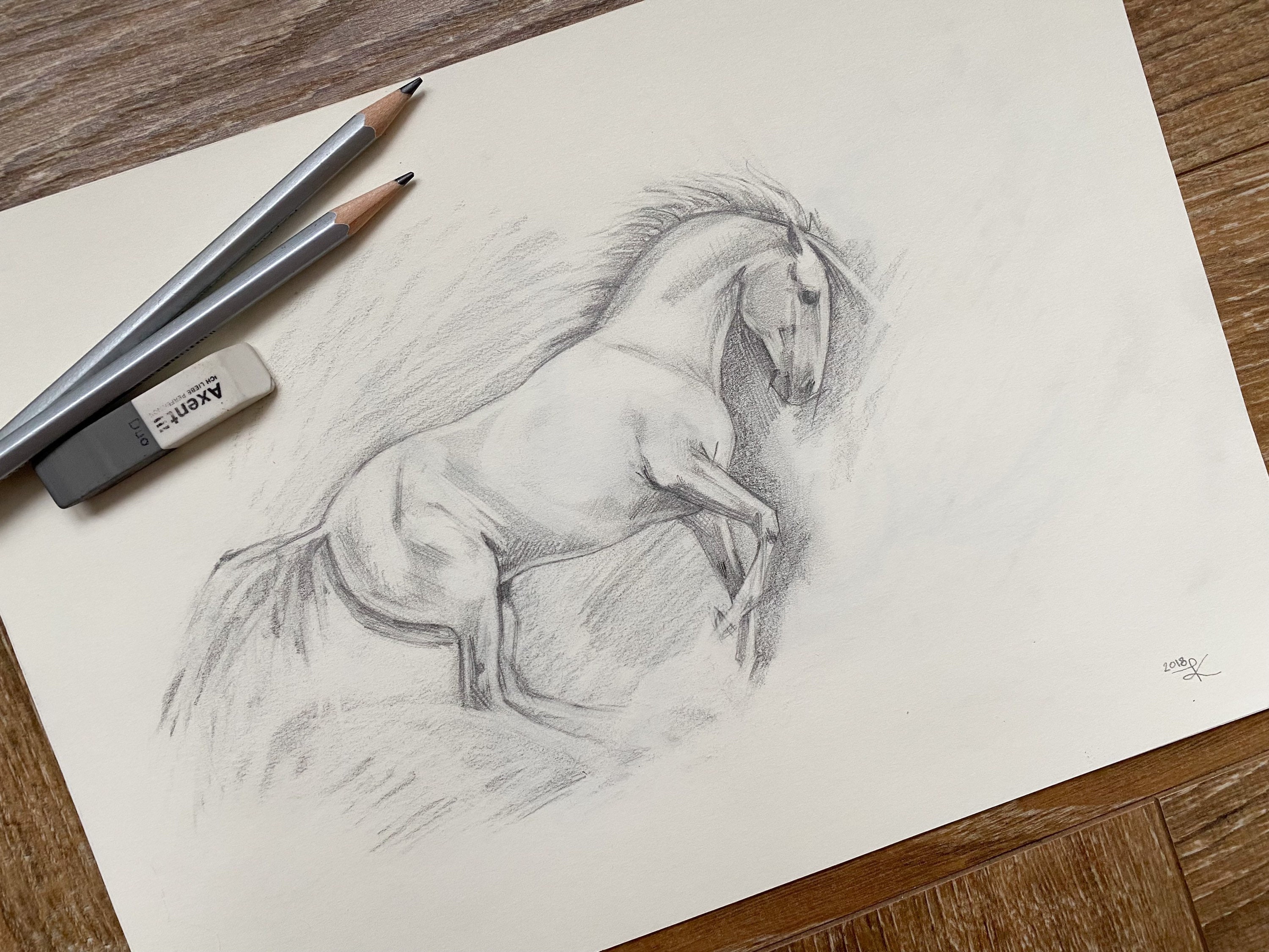 Boceto a lápiz original Dibujo del caballo Dibujo a lápiz - Etsy España