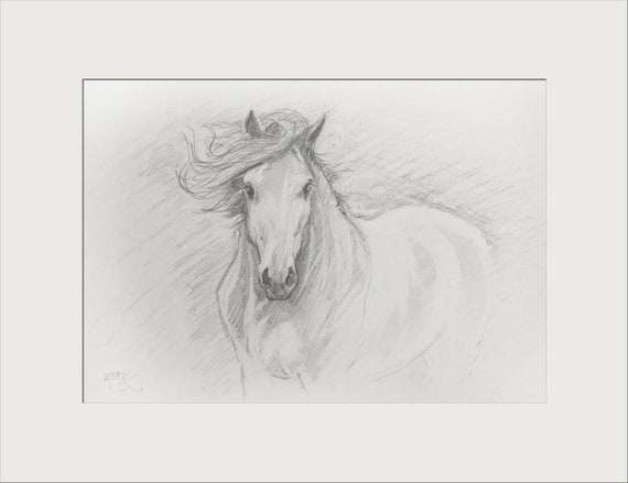 Original Pencil Sketch Of Horse Pencil Sketch Horse Sketch Horse Drawing Pencil Drawing Original Sketch Hand Drawn Gift For Horse Lover Gift