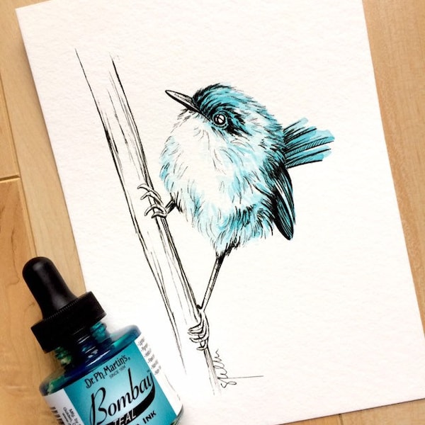 ORIGINAL Hand Drawn Ink Illustration- Wren #3