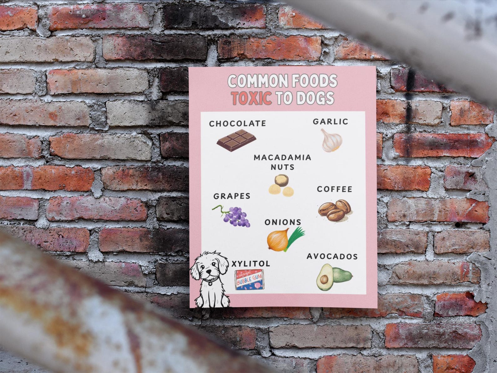Dog Safe Food List, Unsafe Food Chart for Puppies and Dogs, Avoid Human ...